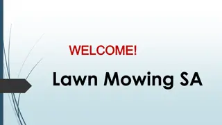 Best Turfing in Marleston