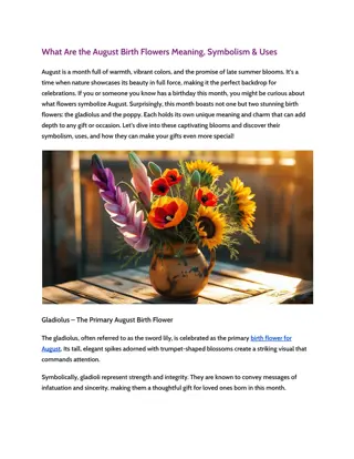 What Are the August Birth Flowers Meaning, Symbolism & Uses