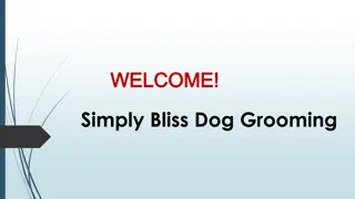 Best Dog Salon in Warne