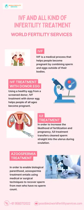 IVF and Infertility Treatments | World Fertility Services