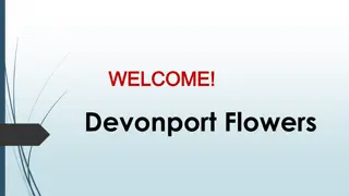 Best Wedding Flowers in Bayswater