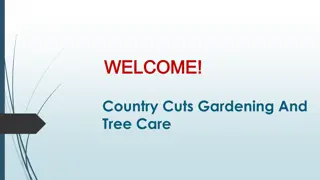 Best Hedge Trimming in Alverthorpe