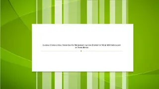 Landau Consulting Your Go-To Microsoft Access Expert in NJ & SEO Specialist in Toms River