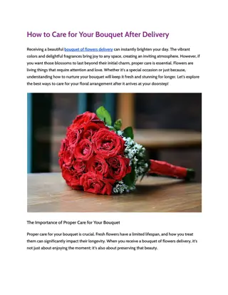 How to Care for Your Bouquet After Delivery