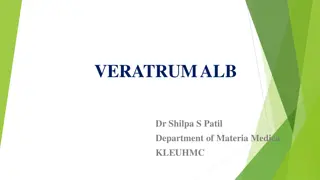 Veratrum Album: Alkaloids and Therapeutic Properties