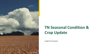 Tamil Nadu Agriculture Updates and Insights
