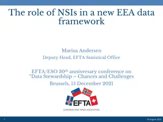 Understanding the Role of NSIs in EEA Data Framework