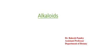 Exploring the Fascinating World of Alkaloids