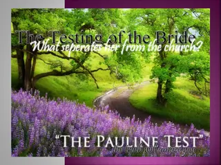 Understanding the Significance of Apostle Paul's Writings in Modern Christianity