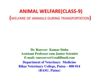 Animal Welfare During Transportation Regulations