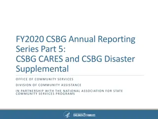 CSBG CARES Supplemental Reporting Guidelines