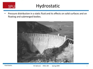 Understanding Hydrostatic Pressure Distribution