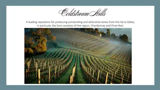 Distinctive Wines from Yarra Valley
