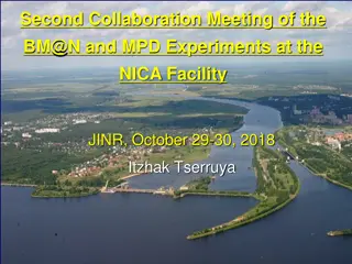 NICA Facility Collaboration Meeting Updates