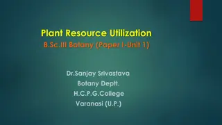 Plant Resource Utilization in Botany Studies