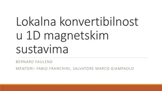 Local Convertibility in 1D Magnetic Systems