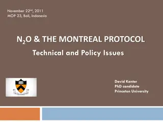 Understanding N2O Emissions and Montreal Protocol Policy Issues