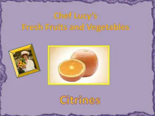 Chef Lucy's Citrines - Fresh California Citrus Fruit