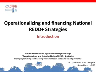 National REDD+ Implementation Strategies and Financing