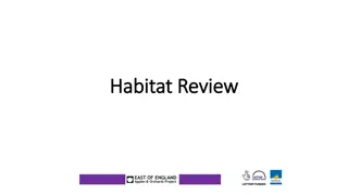 Unique Orchard Habitat Review