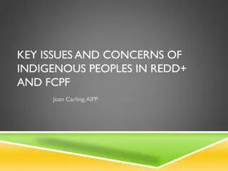 Indigenous Peoples' Concerns in REDD+ and FCPF