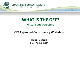 Global Environment Facility: History and Structure Overview