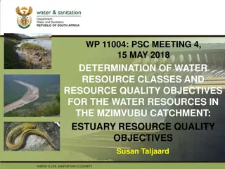 Water Resource Management in Mzimvubu Estuary