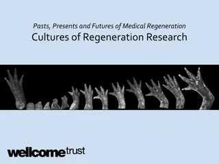 Cultures of Regeneration Research