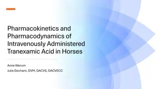 Tranexamic Acid in Horses: Pharmacokinetics & Pharmacodynamics