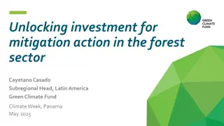 Unlocking Investment for Forest Sector Mitigation Action