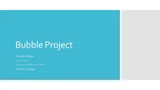 Bubble Project Summary & Research Proposals