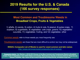 Troublesome Weeds in North American Crops Survey