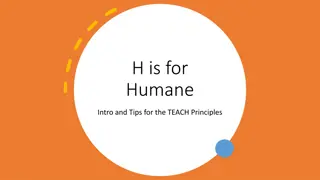 Humane Teaching Characteristics and Tips