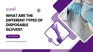 Exploring the Varieties of Disposable Gloves