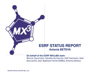 ESRF Antonia Beteva Status Report