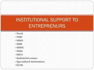 Institutional Support for Entrepreneurs