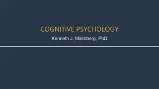 Understanding Object Recognition Theories in Cognitive Psychology
