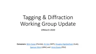 Physics Collaboration Update: Tagging & Diffraction Working Group