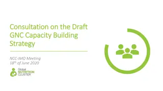 GNC Capacity Building Strategy and Timeline Update