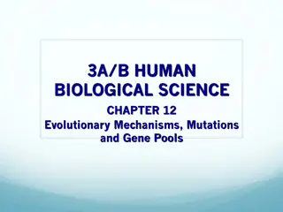 Understanding Population Genetics and Evolutionary Mechanisms