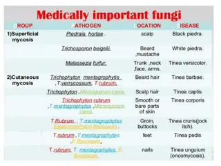 Understanding Fungal Infection Diagnosis