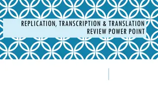 Understanding DNA Replication, Transcription, and Translation