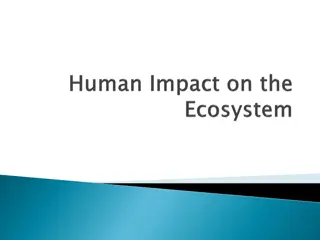 Impact of Human Activities on the Environment