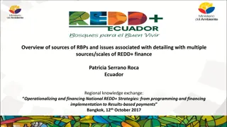 Ecuador's Progress on REDD+ Financing