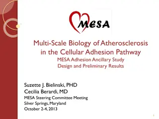 Atherosclerosis Cellular Adhesion Pathway Study