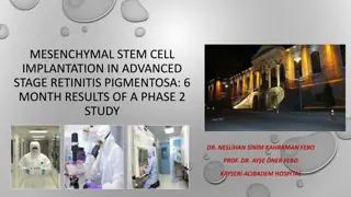 Advanced Stage Retinitis Pigmentosa Stem Cell Implantation Study