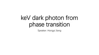 Exploring Dark Photon Constraints and Motivations