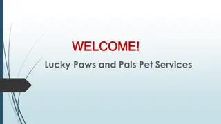 Best Dog Overnight Stays in Mortdale
