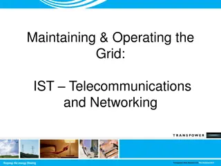 IST Telecommunications and Networking Overview