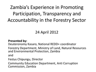 Enhancing Participation and Transparency in Zambia's Forestry Sector
